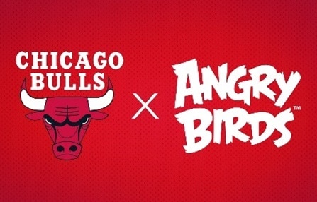 chicago birds
