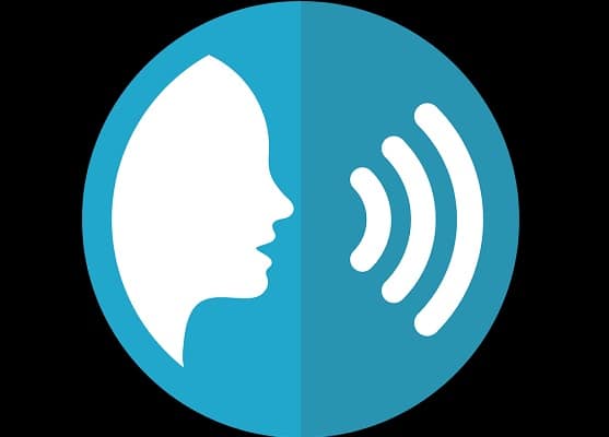 female voice search Voice tech trends: users move from awareness to purchase