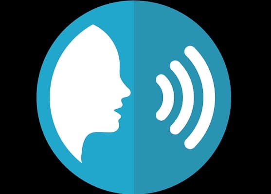 Voice tech trends: users move from awareness to purchase