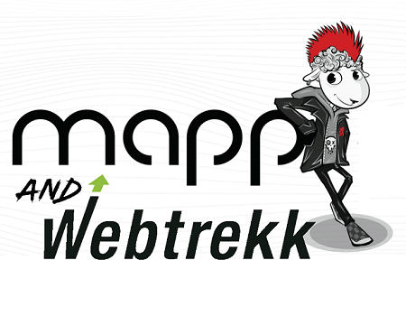 Webtrekk becomes Mapp to boost digital marketing platform