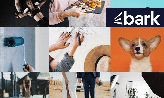bark Bark expands to Australia