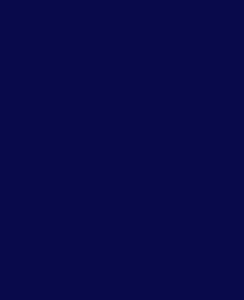 DEE-Dark-Blue