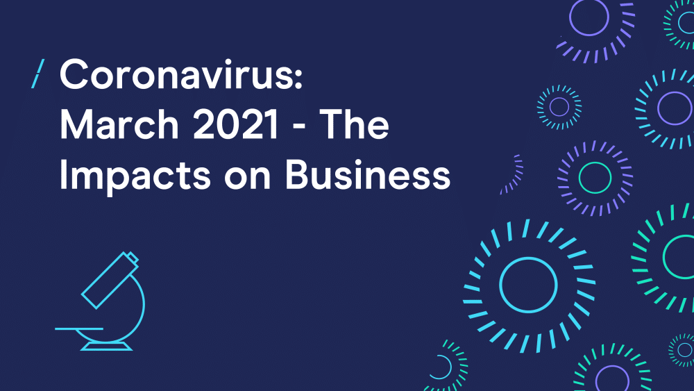 Coronavirus survey: Businesses report tentative signs of recovery
